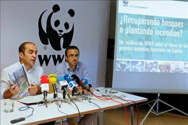 ¿Por qué aumentan los grandes incendios forestales?