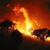 ¿Por qué aumentan los grandes incendios forestales?