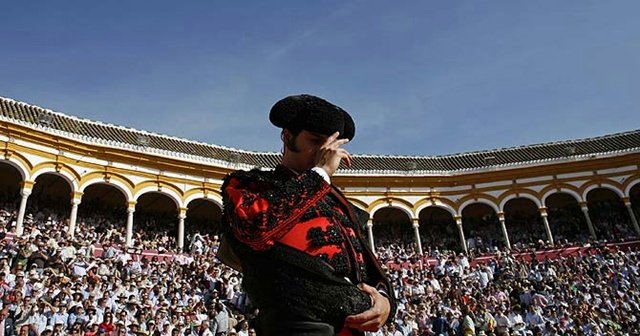 Primer acercamiento al mundo del Toro