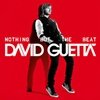 Nothing but the beat: Lo nuevo de David Guetta