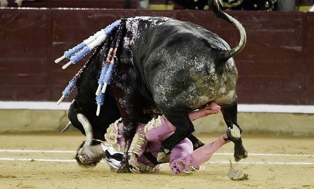 Grave cogida de Padilla