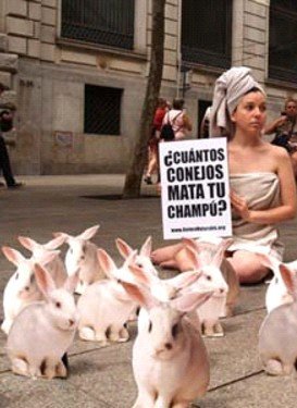 Una propuesta diferente (II)