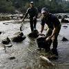 Exprimir el río Xallas no les ha salido demasiado caro