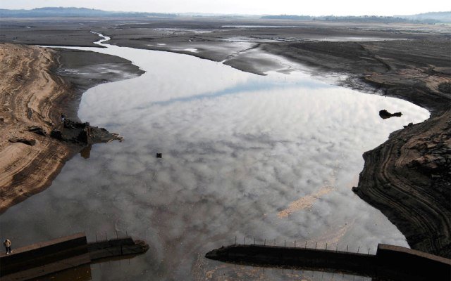  Curiosidades de la Naturaleza: Lobas con piel de hormiga 