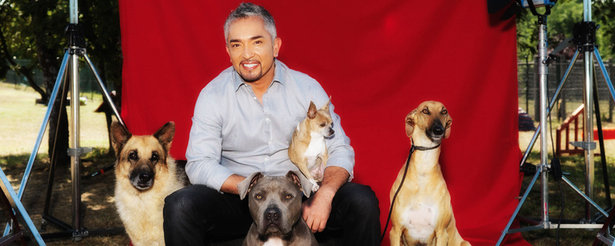 César Millán llega a España